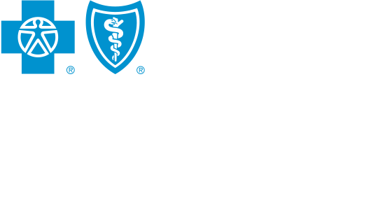 Vision Logo